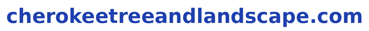 Bongdalu